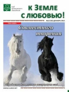 декабрь 2012