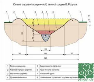 Клубничная тёплая грядка Розума