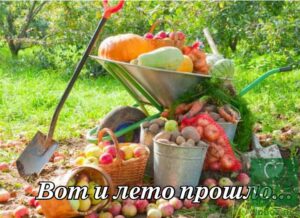 Вот и лето прошло...