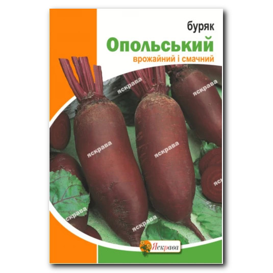Свекла Опольская