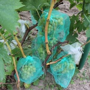 мешочки для винограда от ос