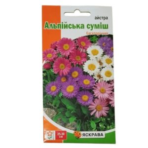 Айстра альпійська суміш