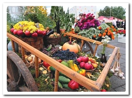 «Ярмарок органічної продукції»