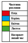 Посевной календарь цвета