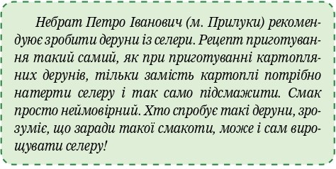 сельдерей