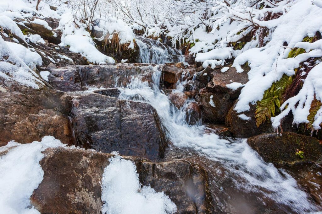 Взаємини з крижаною водою