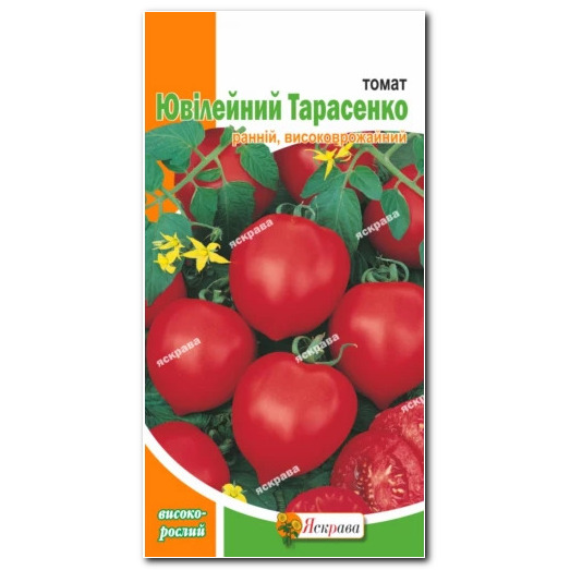 Помідор Ювiлейний Тарасенко