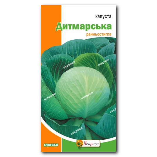 Капуста Дитмарська