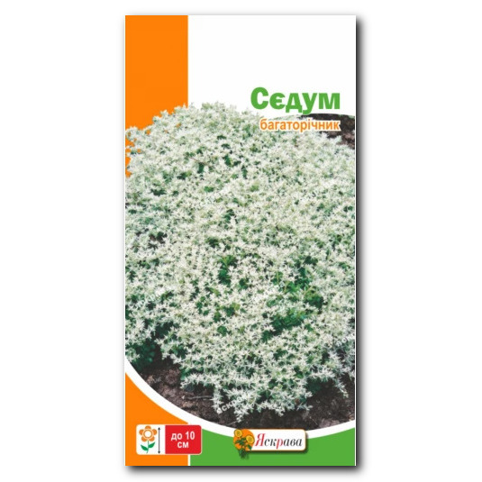 Седум (очиток)