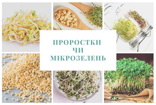 Проростки и микрозелень