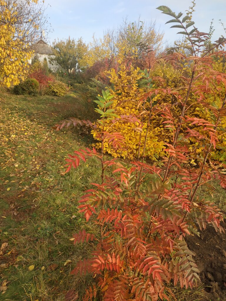 барви осені